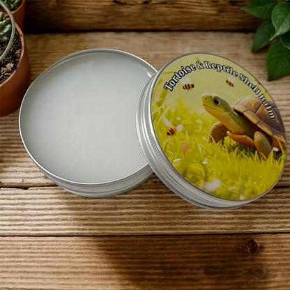 Reptile Shell Care Balm, 3.5 Oz Tortoise Lizard Turtle Shell Moisturizer