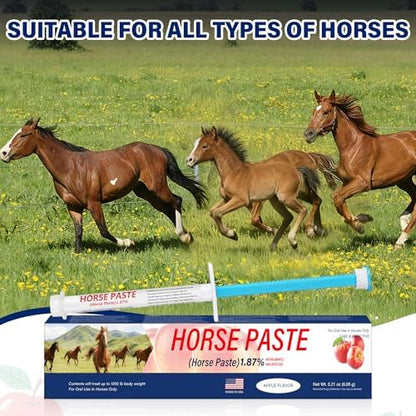 6 Pack (6.08g) Apple Flavored Oral Paste for Horses