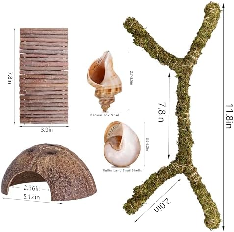 Hermit Crab Accessories – 5PCS Natural Hermit Crab Toys Climbing Bridge, Shells, Coconut Hideout, Moss and Plants for Hermit Crabs Habitat & Reptile Tank Decor