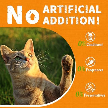 Just Try Pumpkin Cat Treats Salmon Flavor, 13.4 oz