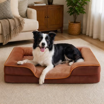 NEWBULIG 35x25 Inch Orthopedic Dog Bed for Indoor Use, Soft Surface