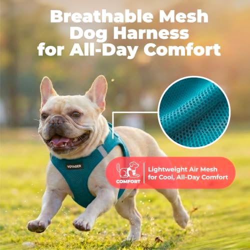 Voyager Step-in Air Dog Vest Harness - Turquoise, Medium