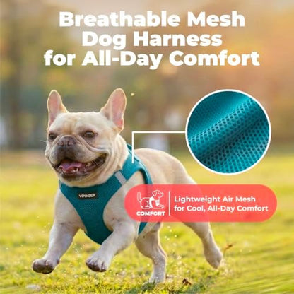 Voyager Step-in Air Dog Vest Harness - Turquoise, Medium