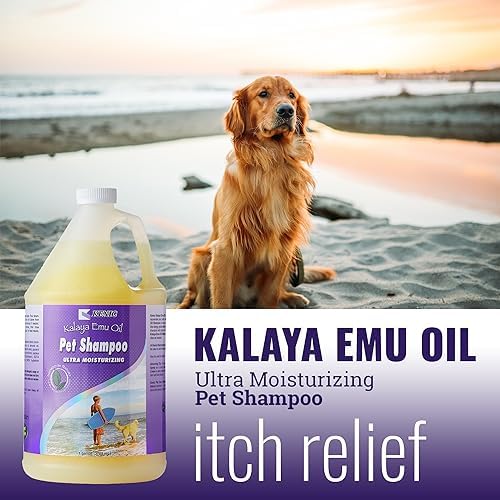Kenic Premium Emu Oil Anti-Itch Dog & Cat Shampoo – Deep Moisture,Instant Relief for Dry, Irritated Skin, Natural Healing & Soothing Formula, Made in USA