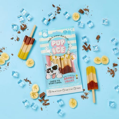 SPOT Pup Ice Dog Treats – Freeze-at-Home Edible Chews for Medium Breed Dogs & Puppies, Banana & Carob Flavor (No Chocolate), 2ct Rocket Lollies with Real Chicken