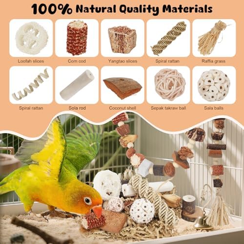 Bird Toys Parrot Foraging Box Parakeet Toys with DIY Hanging String