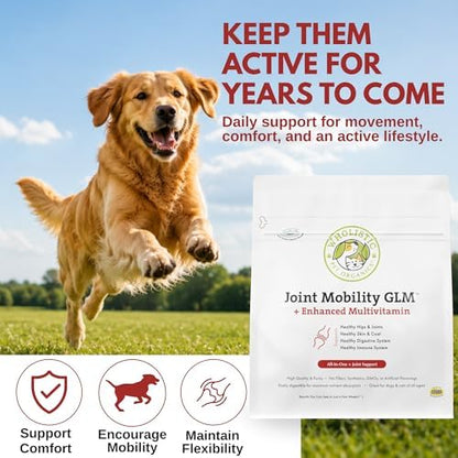 Hip and Joint Supplement for Dogs and Cats, 4 Lb, 181 Scoops