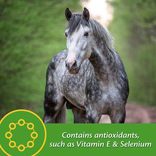 Farnam Vita Plus Balanced Multi-Vitamin & Mineral Horse Supplement, Vitamin Supplements, Provides Balanced Nutrition to Support Overall Health and Performance, 3.75 Pounds, 30 Day Supply