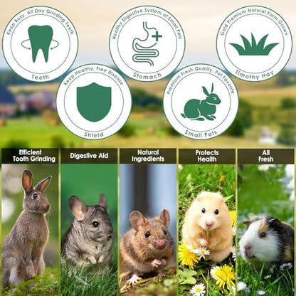 ERKOON 100% Edible Premium Timothy Hay Chew A Bowl for Rabbits, Chinchilla Treats, Chew Toys for Teeth Guinea Pigs and Mice (Pumpkin)