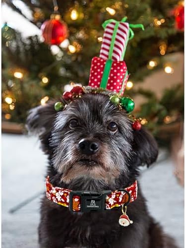 Lionheart glory Christmas Dog Collar, Red Christmas Santa Deer Dogs Collar Adjustable Soft Comfortable Collars for Medium Dogs Girl or Boy Pet Gift Fall Cute Collar