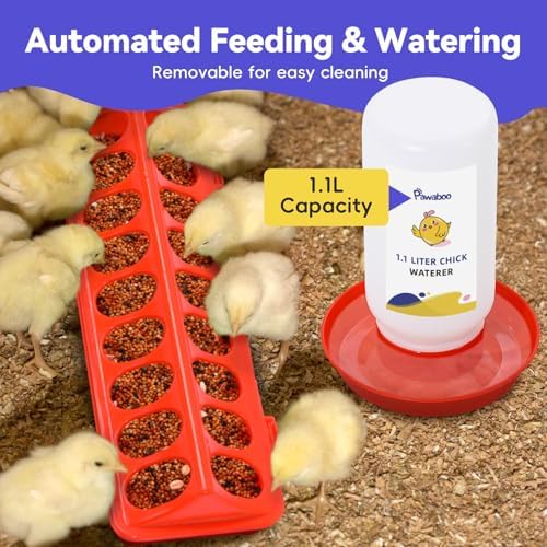 Pawaboo Chick Brooder Box for Chick Starter Kit, Black