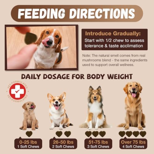 Turkey Tail Mushroom for Dogs with Probiotics - Mushroom Supplement for Dogs Lumps and Bumps, Reishi, Lion's Mane - Immune Boost, Gut Health, Lipoma, Joint & Skin Support Multivitamin, 120 Chews