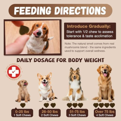 Turkey Tail Mushroom for Dogs with Probiotics - Mushroom Supplement for Dogs Lumps and Bumps, Reishi, Lion's Mane - Immune Boost, Gut Health, Lipoma, Joint & Skin Support Multivitamin, 120 Chews