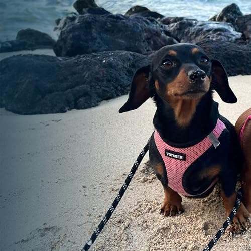 Voyager Step-in Air Dog Vest Harness - Pink/Black Trim, X-Large