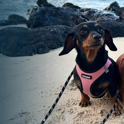 Voyager Step-in Air Dog Vest Harness - Pink/Black Trim, Small