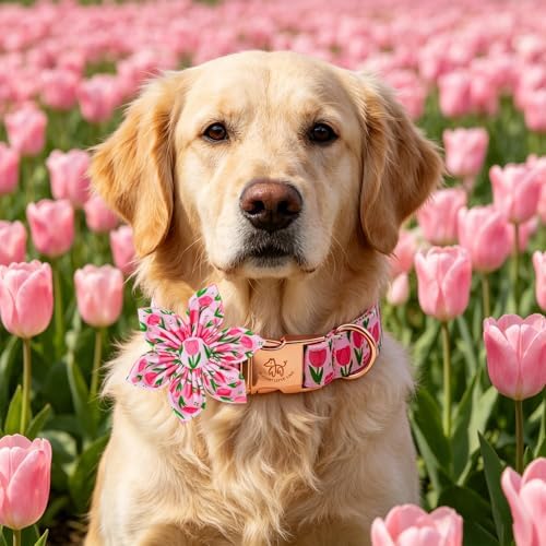 Elegant little tail Dog Collar with Flower, Pink Flower Girl Pet Collars for Female Dogs Floral Pet Adjustable Puppy Collars with Flowers for Small Medium Large Dogs