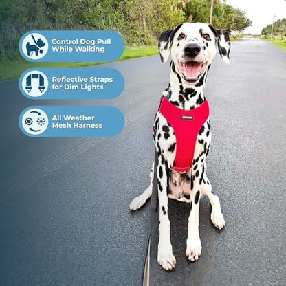 Air Frontier Mesh Dog Harness with Steel Leash D-Ring, Reflective Stitching, and Lightweight Breathable No-Pull Design, Adjustable Neck and Chest Straps for Small to Large Breeds - RDW, XS