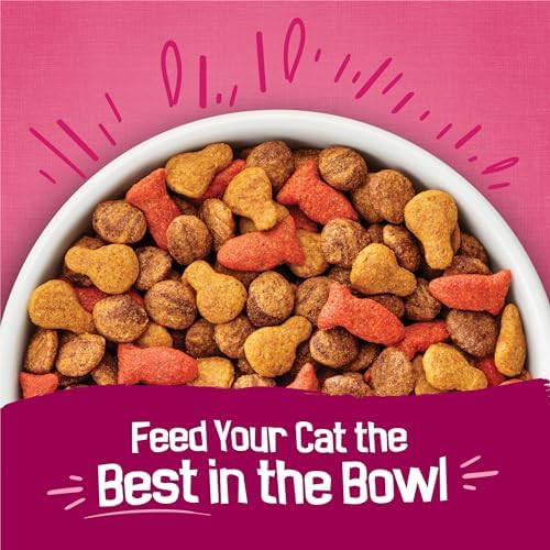 Friskies Purina Dry Cat Food Gravy Swirl'd with Flavors of Chicken, Salmon and Gravy - 3.15 lb. Bag