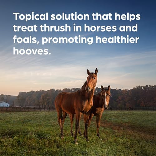 Kopertox Water-Resistant Thrush Treatment for Horses & Foals, 16 oz