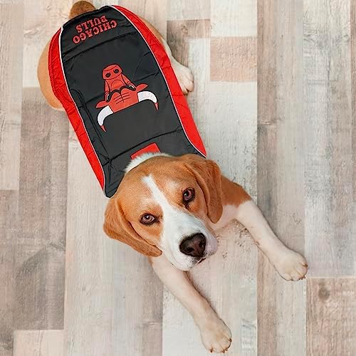 NBA Chicago Bulls Puffer Vest for Dogs & Cats, Size Small. Warm, Cozy, and Waterproof Dog Coat, for Small and Large Dogs/Cats. Best NBA Licensed PET Warming Sports Jacket