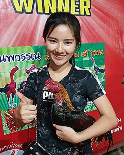 HULX Super Green 10 CC. Rooster Booster Health Care Protection, Quickly Recover Chicken Rooster from Sick, Heal Wounds Pain, Recovery Energy Increase Immunity Poultry & Bird