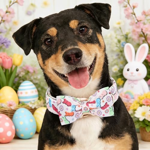Dog Collars, Easter Colorful Rabbit Print Cotton Collar Holiday Adjustable Light Plastic Buckle Collar with Bow Pet Collar Gift for X-Small Dogs