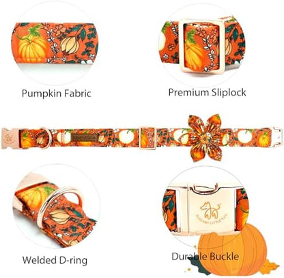 Elegant little tail Fall Dog Collar, Halloween Pet Collars with Flower Cute Pumpkin Print Puppy Collar Female or Male Cotton Adjustable Collars for Small Medium Large Dogs