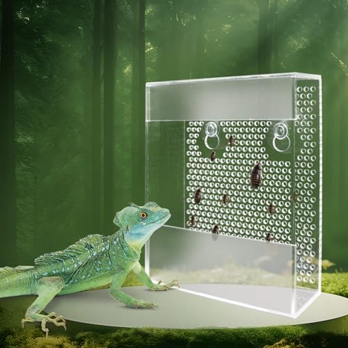 Transparent Acrylic Reptile Feeder Box, Wall-Mounted Insect Feeder with Suction Cups, Tank and Aquarium Accessories for Bearded Dragon, Lizard, Gecko, Frog