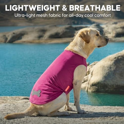 KYEESE 2Pack Dog Shirts for Medium Large Dogs Breathable Mesh Tank Top