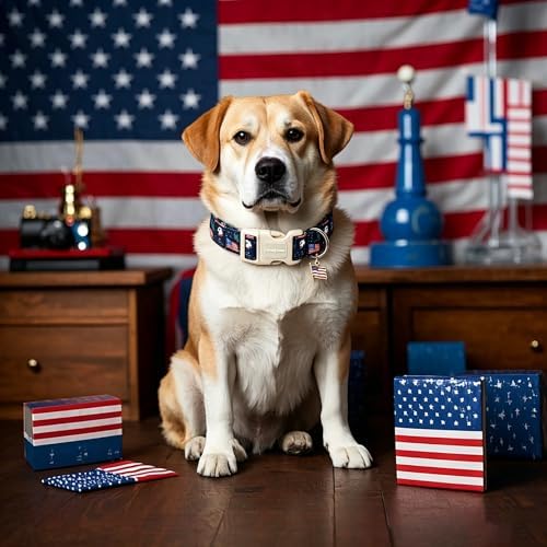 Lionet Paws 4th of July Dog Collar American Flag Statue of Liberty Collars with Cute Flags Pattern Pendant - Female Male Boy Dog Collar for Small Medium Dogs XS