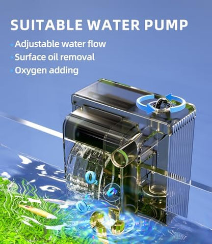 5 Gallon Fish Tank Starter Kit with Heater Filter Light Glass Rimless