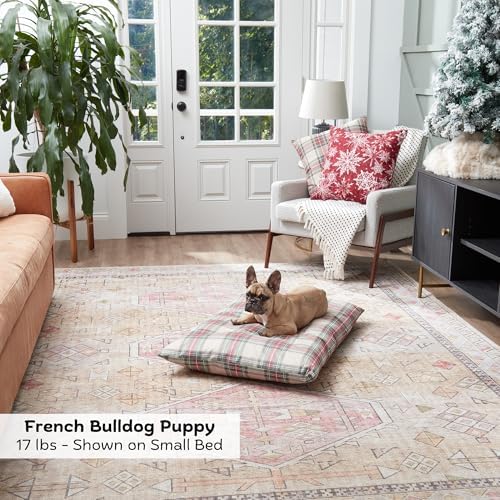 Happy Hounds Charlie Holiday Plaid Throw Pillow Dog Bed, Small (36 x 24 in.)