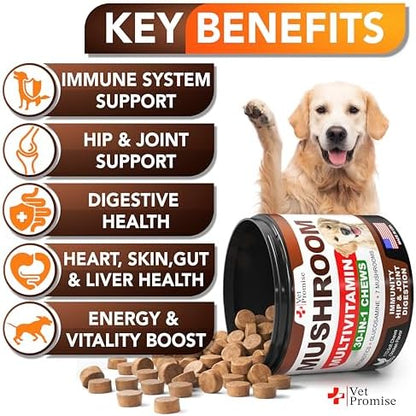 (2 Pack) Turkey Tail Mushroom for Dogs - 340 Chews - Mushroom for Dogs