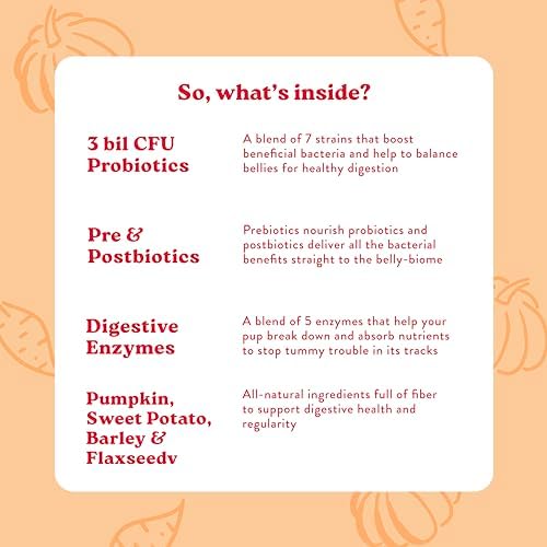 Bocce's Bakery Probiotic Supplement Chews, Pumpkin & Sweet Potato (60 ct)