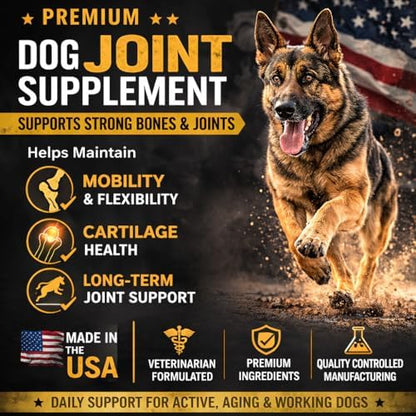 Dog Joint Supplement – Hip & Joint Chews for Dogs | Glucosamine, Chondroitin, MSM & Green Lipped Mussel | Supports Mobility & Cartilage | Braveheart K9 | Made in USA