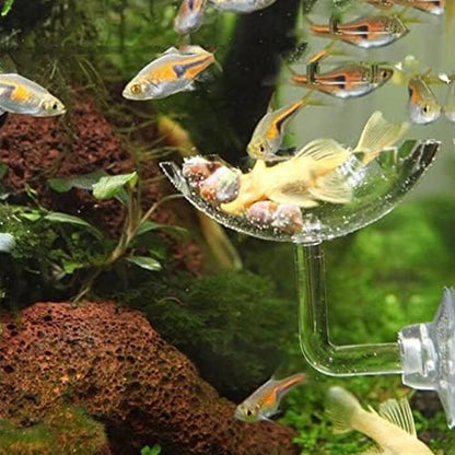 Bilindasly Acrylic Shrimp Feeding Dish Floral Shrimp Bowl Aquarium Transparent Feeder Container with Suction Cup for Aquarium Fish Tank