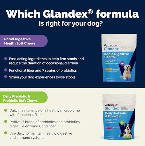 Vetnique Glandex Rapid Digestive Support for Dogs, Pumpkin + 7 Probiotics