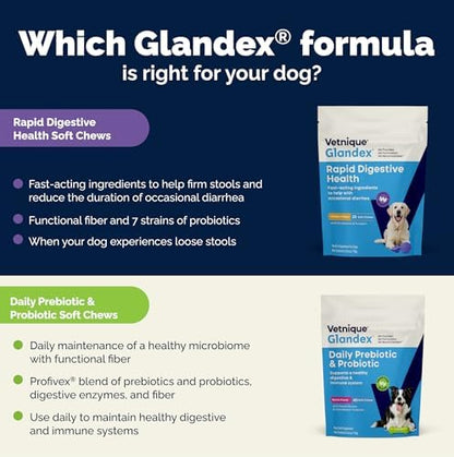 Vetnique Glandex Rapid Digestive Support for Dogs, Pumpkin + 7 Probiotics