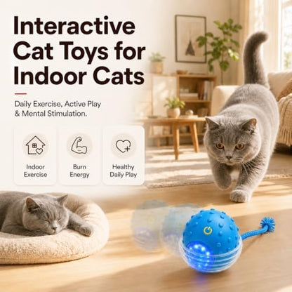 Interactive Rolling Cat Ball, Motion Activated Automatic Cat Toy