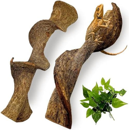 BNOSDM 2Pcs Reptile Climbing Branches Decor,2.5-3.25" Think Snake Climbing Branch,Gecko Climb Wood,Lizard Bold Forest Branch,Tank Habitat Tree Trunk Decorations for Bearded Dragons,Chameleons,Frogs