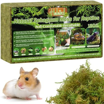 Halatool 12 OZ Sphagnum Moss for Reptiles - Green Terrarium Moss