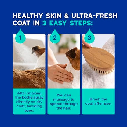 DOUXO SPA Dog Deodorizing Spray, 11.5 fl oz