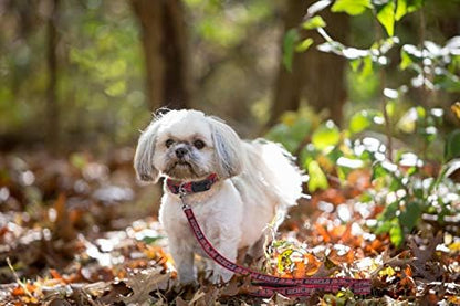 NCAA PET Leash, Small, Mississippi Ole Miss Rebels, Shiny & Colorful Leash for Dogs & Cats Licensed by The NCAA