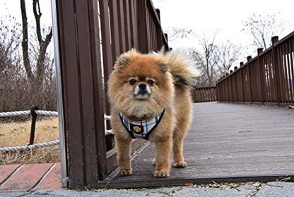 Puppia Junior Over-The-Head Dog Harness Checkered Pattern No Choke No Pull Adjustable Chest Belt Walking Training for Small and Medium Dog, Medium, Black