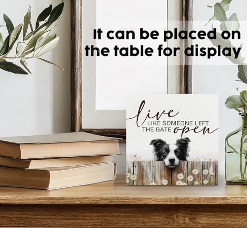 Border Collie Signs - Farm Cottagecore Animal Office Kitchen Bedroom Decor,Rustic Farmhouse Live like Someone Left the Gate Open Home Decor Wooden Signs,Border Collie Gifts for Women,6x6