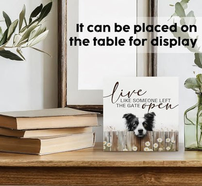 Border Collie Signs - Farm Cottagecore Animal Office Kitchen Bedroom Decor,Rustic Farmhouse Live like Someone Left the Gate Open Home Decor Wooden Signs,Border Collie Gifts for Women,6x6