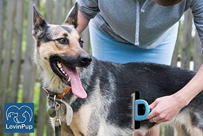 Cat & Dog Brush for Shedding – Deshedding Tools for Pets