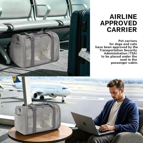 Cat Carrier, Soft-Sided Pet Carrier Bag, Breathable Mesh, Black (Grey, 17 * 11 * 11)