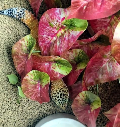 Fake Reptile Plants for Terrarium,Hanging Plant with Suction Cup