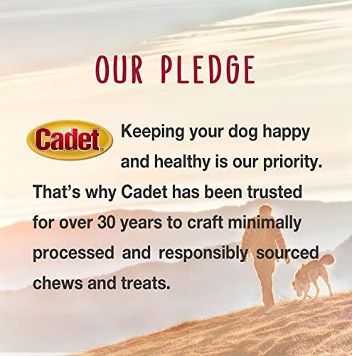 Cadet Stuffed Shin Bone, Long-Lasting Dog Chew Bones for Aggressive Chewers, High-Protein Filled Bone Dental Chew for-Dogs, Bacon & Cheese Flavor Filling, 5-6" for Large Dogs (Pack of 2)
